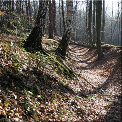 Archäologie vor Ort - Führung/Römer-Biwak